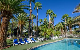 Desert Palms Alice Springs
